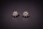 The Aurelia Stud