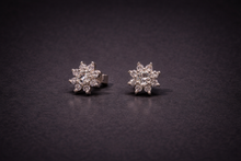 The Aurelia Stud