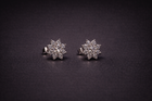 The Aurelia Stud