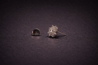 The Aurelia Stud