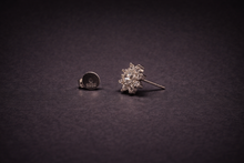 The Aurelia Stud